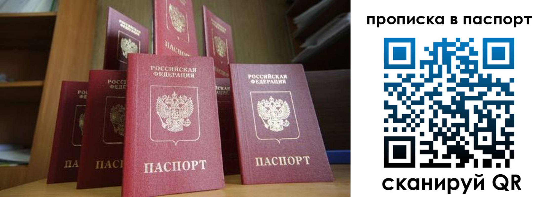 прописка законно в Волосово